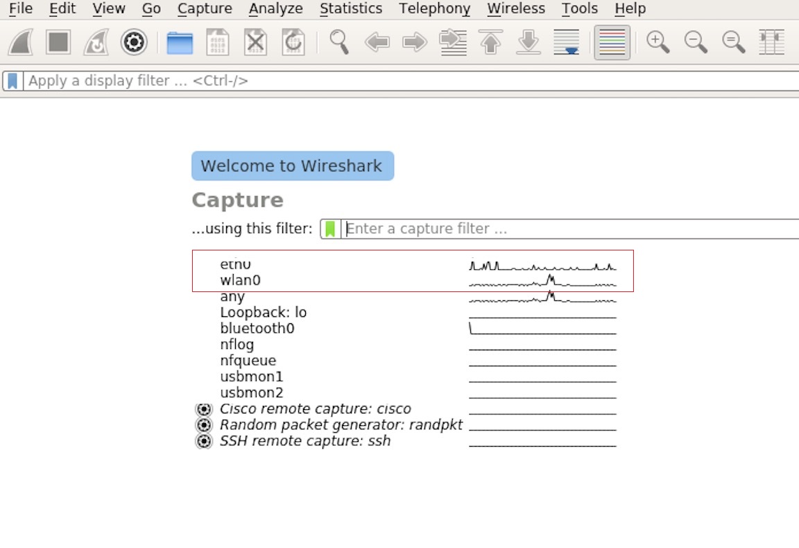 Wireshark Capture Interface